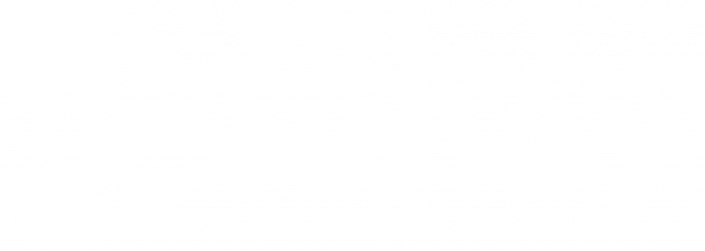Bidy Software